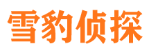 百色寻人公司